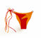Flat Lay Bikini Flavors Reversible American Bottoms in Cherry Crush
