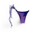 Reversible Brazilian bikini bottom in Plum Pretty by Bikini Flavors. Purple reverses to navy. Interchangeable ties, signature hardware. American Made.